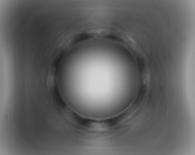 X0000114060515200910051219