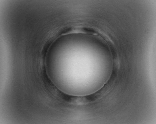 X0000114060517200910051219