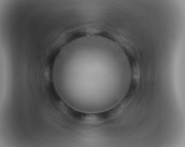 X0000114060519200910051219
