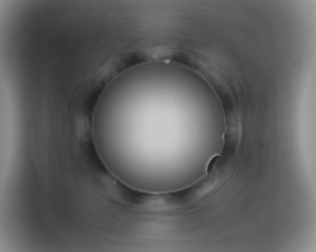 X0000114060523200910051219