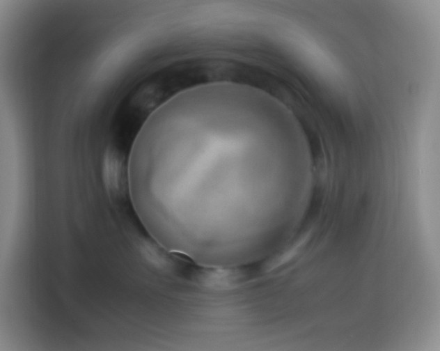 X0000114060527200910051219