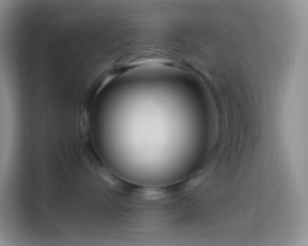 X0000114060528200910051219