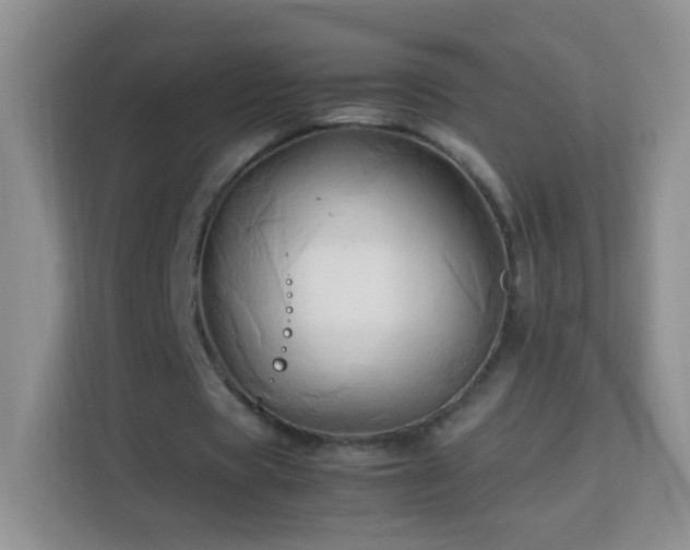 X0000114060529200910051218