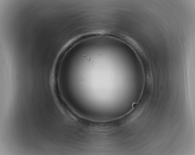 X0000114060532200910051218