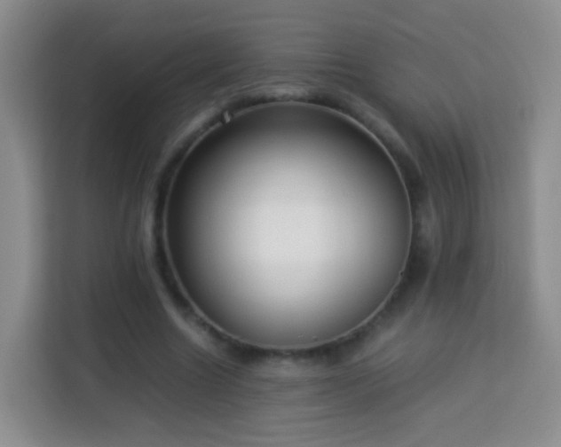 X0000114060538200910051218