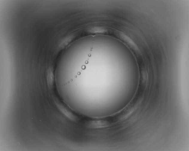X0000114060541200910051218