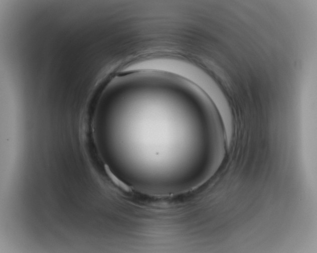 X0000114060544200910051218