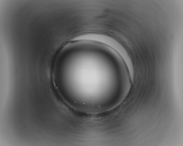 X0000114060546200910051218
