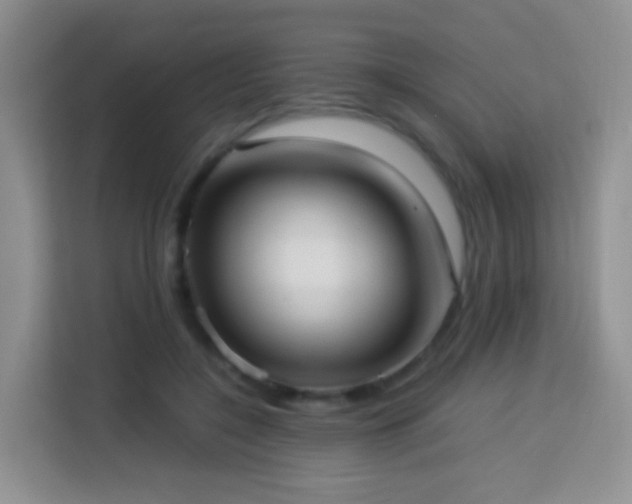 X0000114060548200910051218
