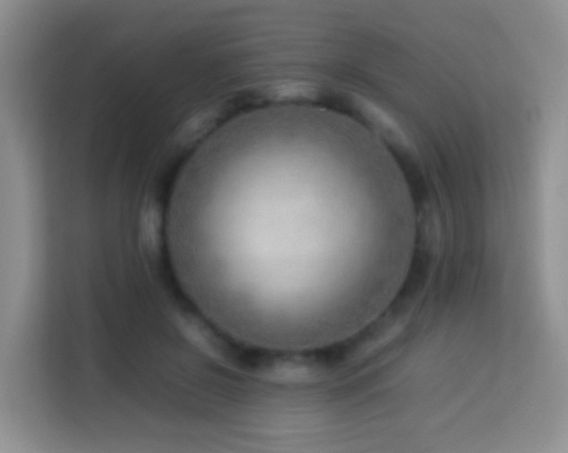 X0000114060550200910051218