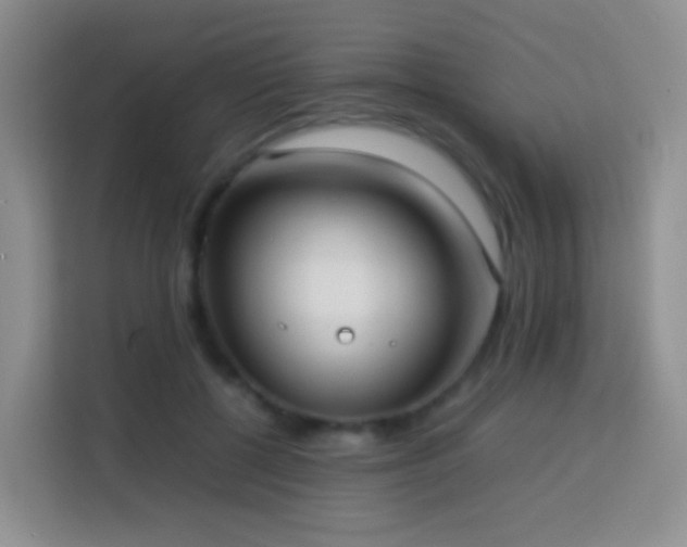 X0000114060552200910051219