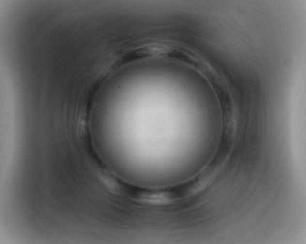 X0000114060553200910051219