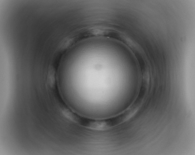 X0000114060554200910051219