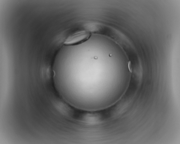 X0000114060556200910051219