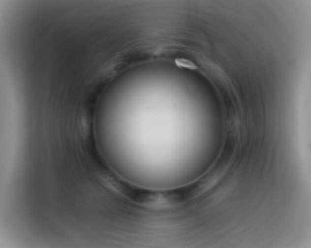 X0000114060558200910051219