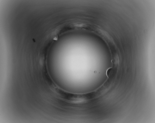 X0000114060559200910051219