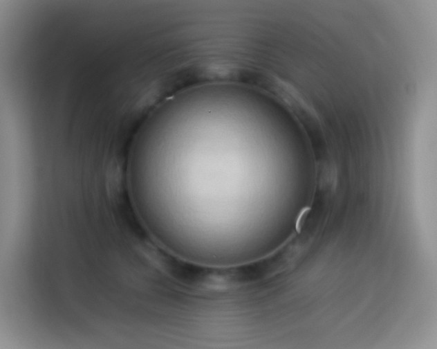X0000114060560200910051219