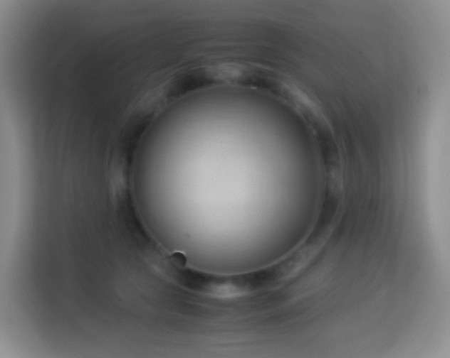 X0000114060561200910051219