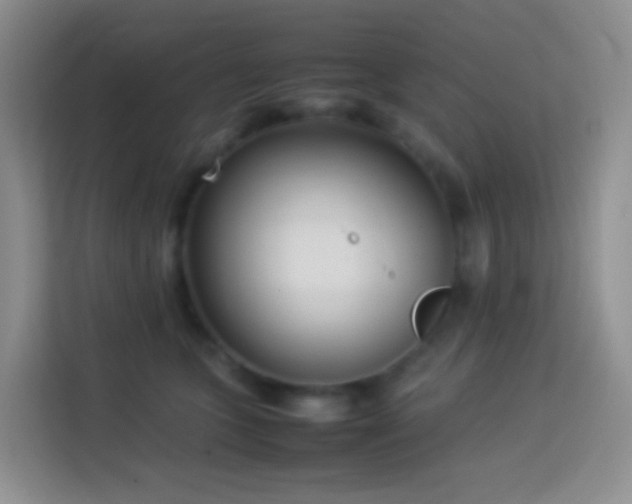 X0000114060563200910051219