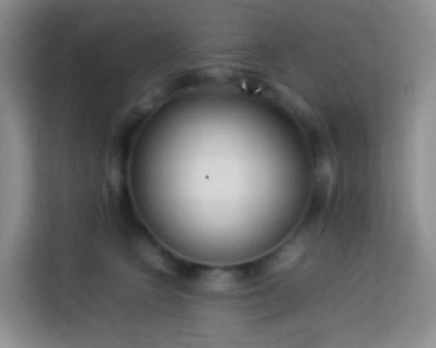 X0000114060566200910051219