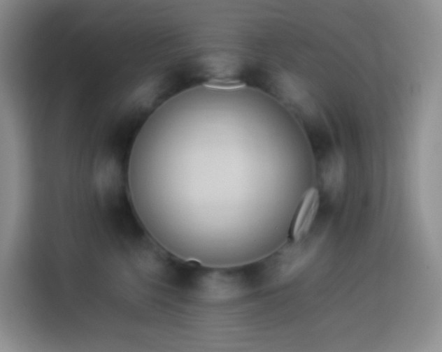 X0000114060568200910051219