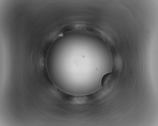 X0000114060571200910051219