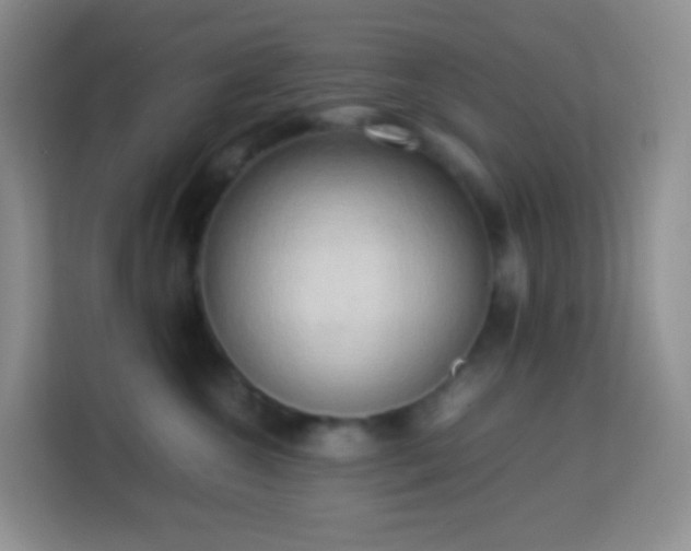 X0000114060572200910051219