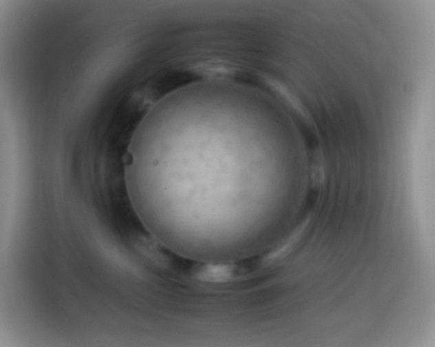 X0000114060573200910051219