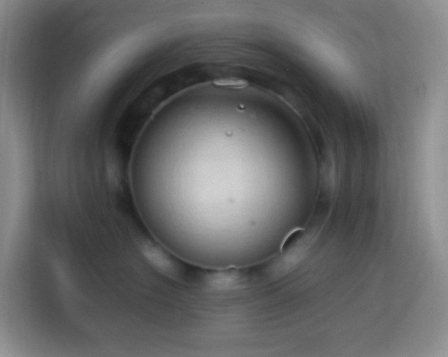 X0000114060574200910051219