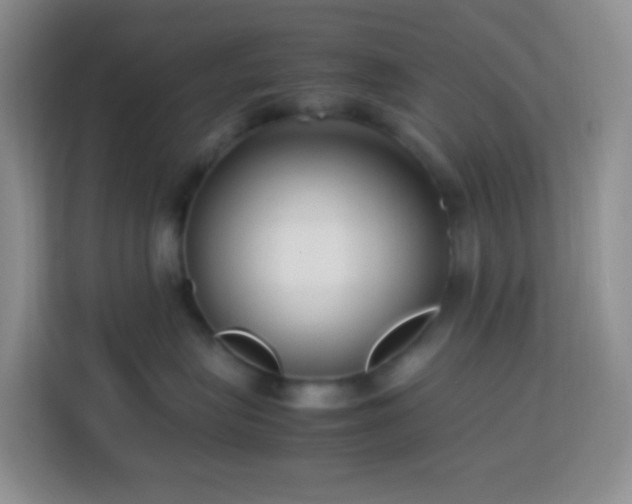 X0000114060575200910051219