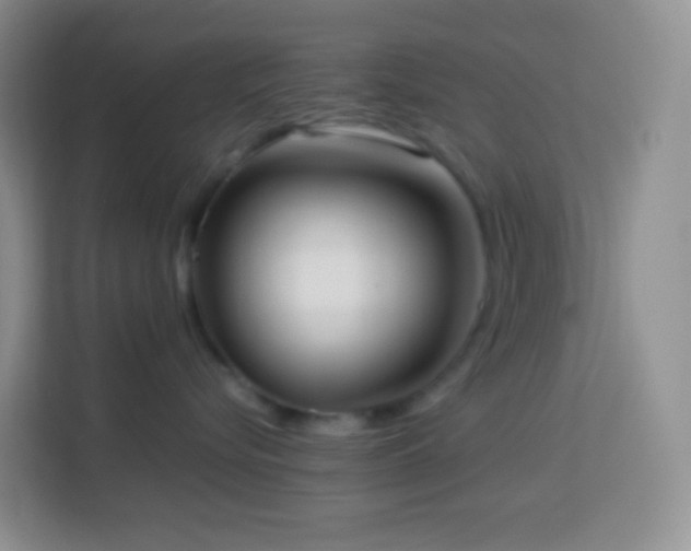 X0000114060576200910051219