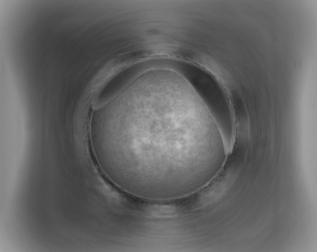 X0000114060577200910051218