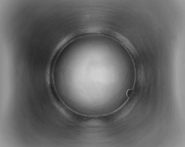 X0000114060578200910051218