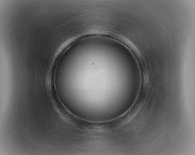 X0000114060580200910051218