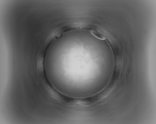 X0000114060585200910051218