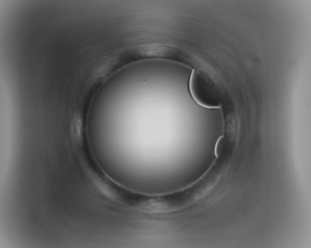 X0000114060589200910051218
