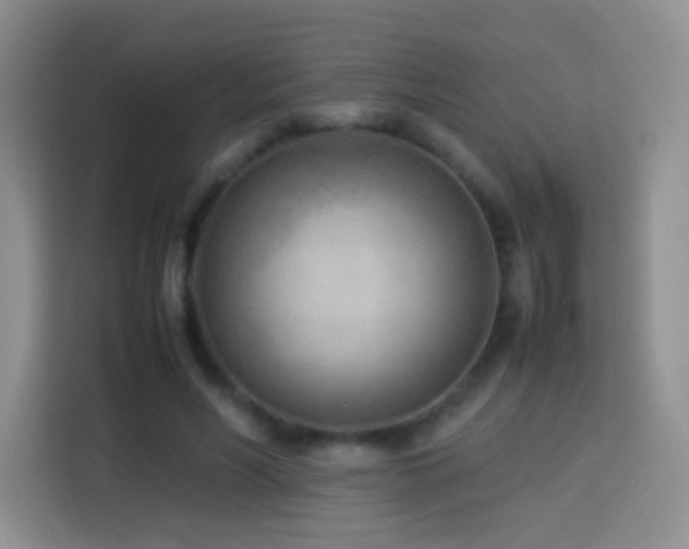 X0000114060590200910051218