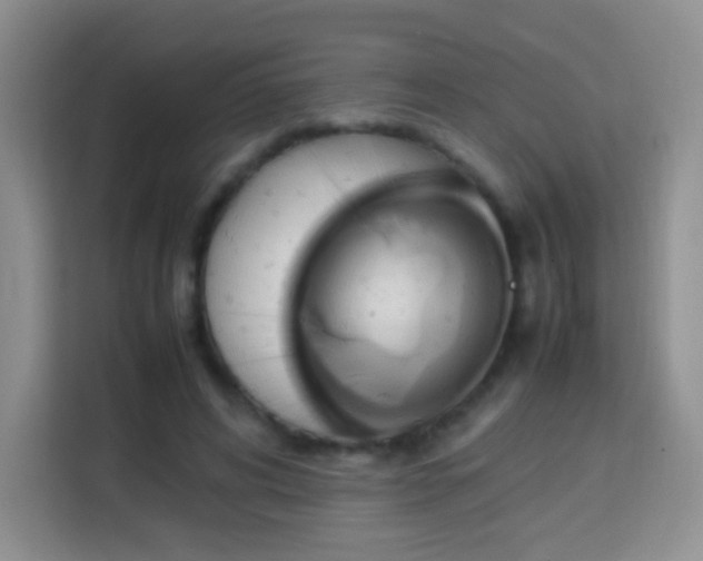 X0000114060592200910051218