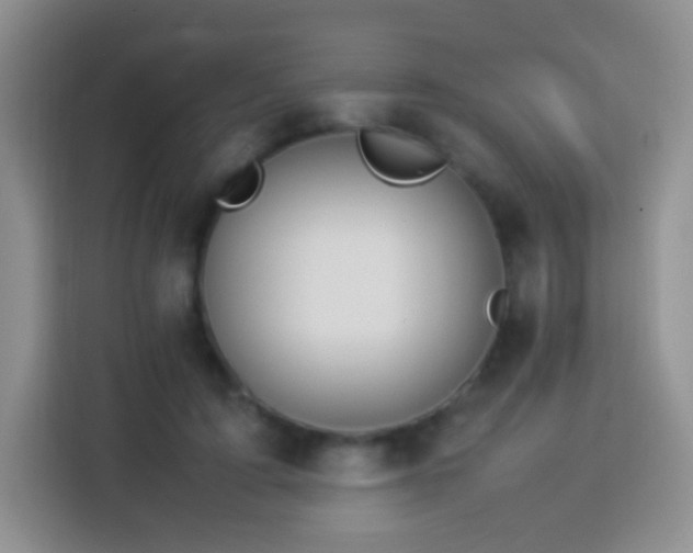 X0000114060595200910051218