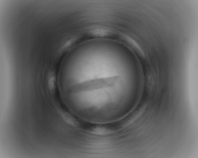 X0000114060596200910051218