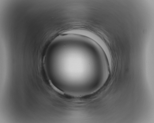 X0000114060597200910051218