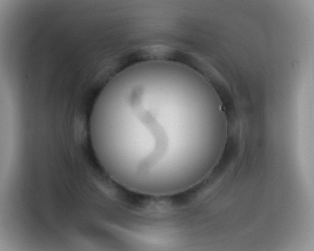 X0000114060599200910051218