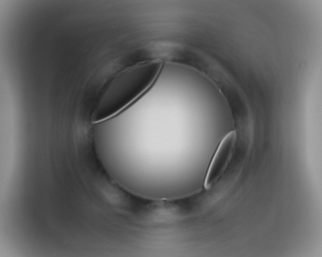 X0000114060601200910051218