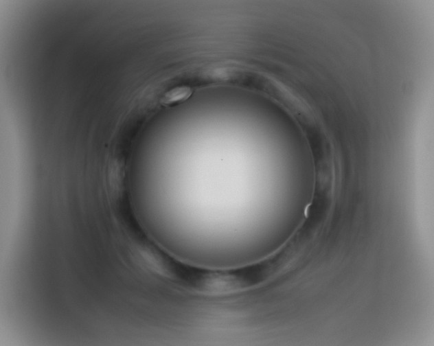 X0000114060605200910051218