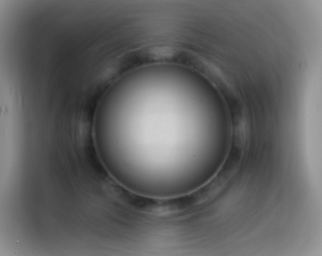 X0000114060608200910051218