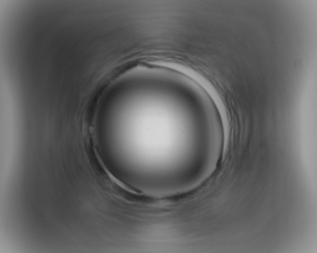 X0000114060609200910051218