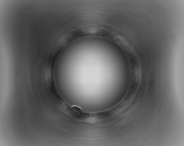 X0000114060612200910051218