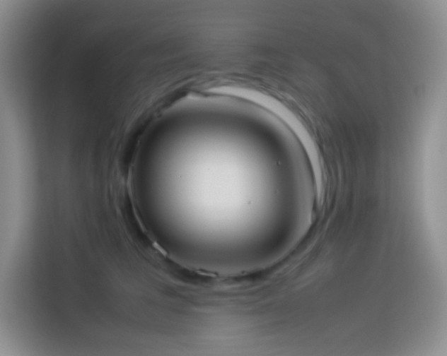 X0000114060613200910051218