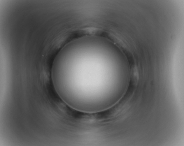 X0000114060615200910051218