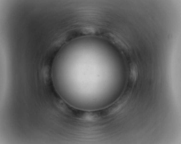 X0000114060616200910051218